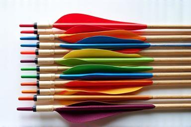 Arrows lined up neatly showing colorful fletching details